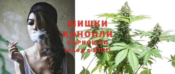 прущий лед Арсеньев