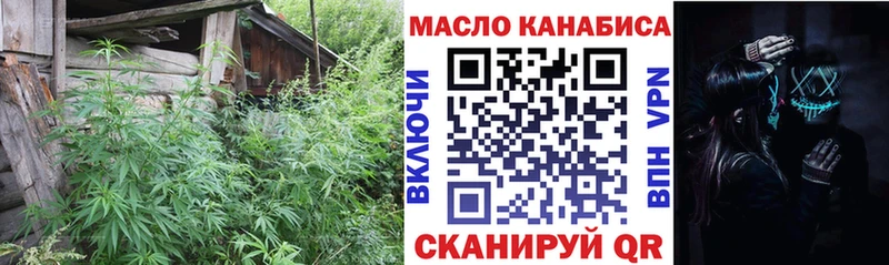 блэк спрут ONION  Ельня  ТГК жижа 